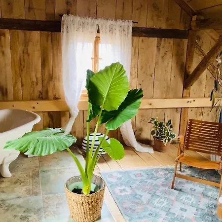 Estate Ana Country house