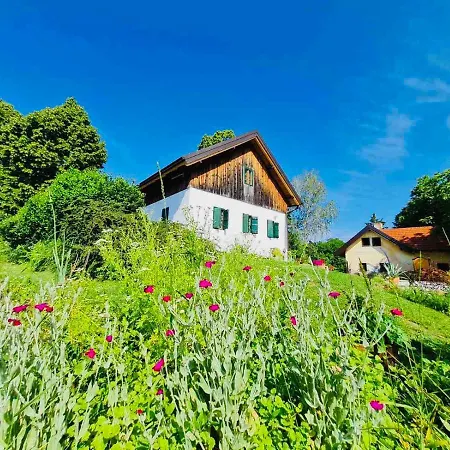 Estate Ana Country house Ptuj