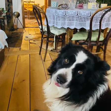 Estate Ana منزل ريفي بتوي