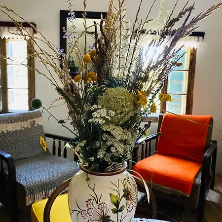 منزل ريفي Estate Ana