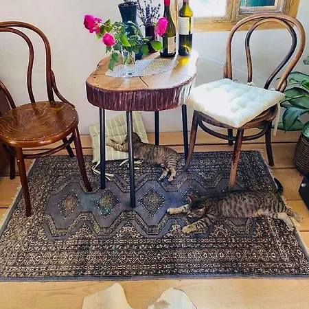 Estate Ana Country house