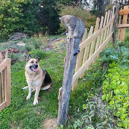 منزل ريفي Estate Ana *