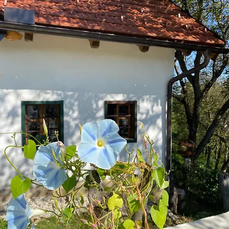 Estate Ana * بتوي