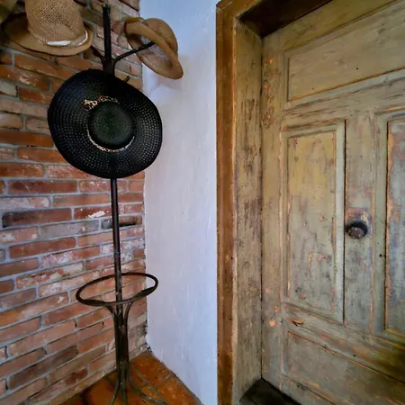 Estate Ana Ptuj