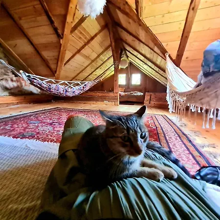 Estate Ana منزل ريفي *