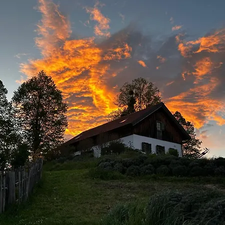 Estate Ana Venkovský dům