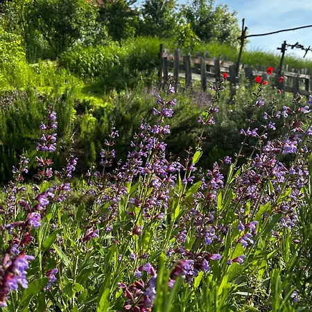 Estate Ana منزل ريفي *