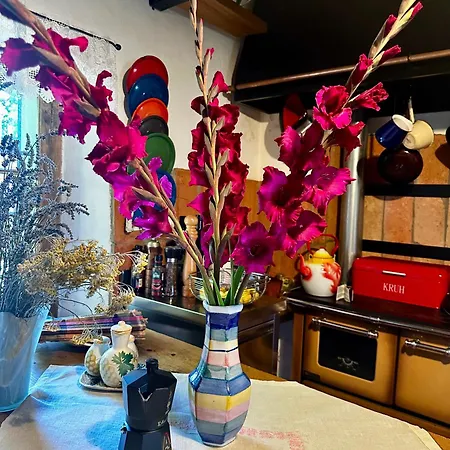 Gospodarstwo wiejskie Estate Ana *