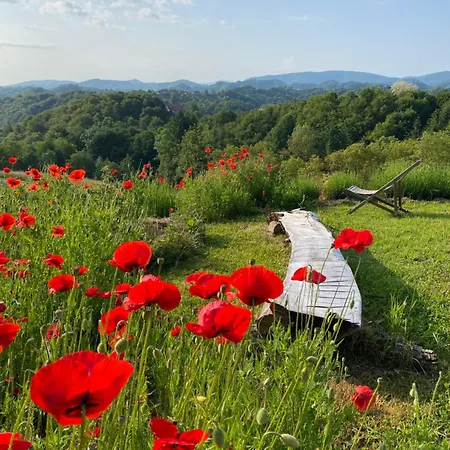 Estate Ana منزل ريفي بتوي