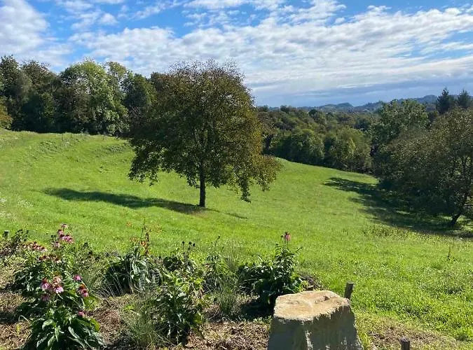 Estate Ana プトゥイ