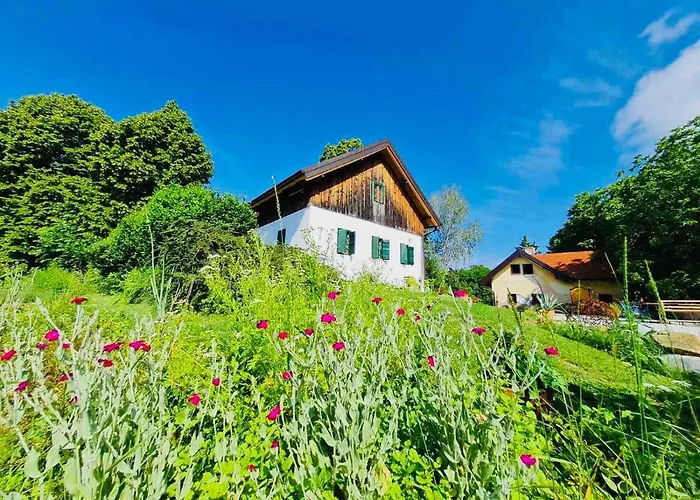 Estate Ana Venkovský dům Ptuj