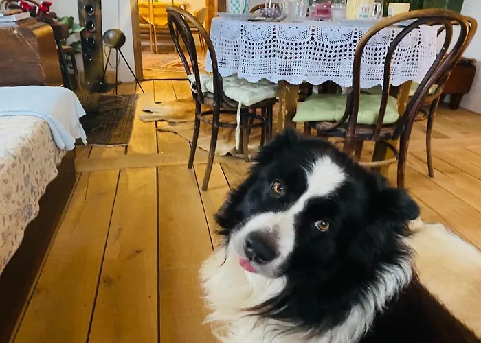 Estate Ana Venkovský dům Ptuj