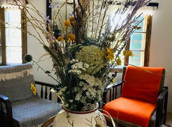 בית כפרי Estate Ana