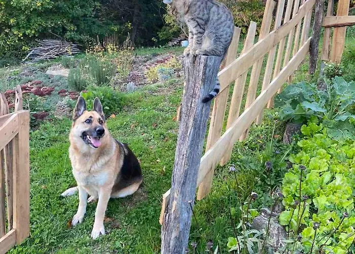 בית כפרי Estate Ana *