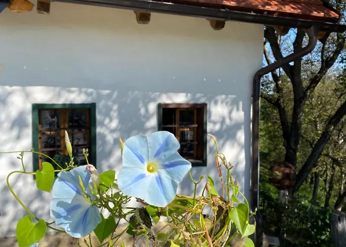 Estate Ana * פטוי