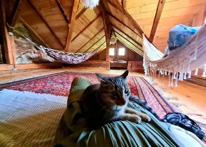 Estate Ana Venkovský dům *