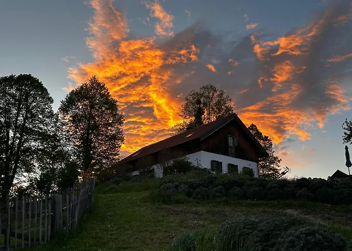 Estate Ana בית כפרי